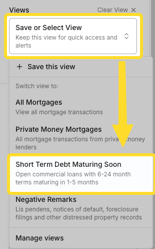 Preset view dropdown in the sidebar